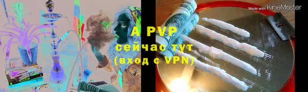 apvp Вяземский