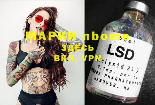 apvp Вяземский
