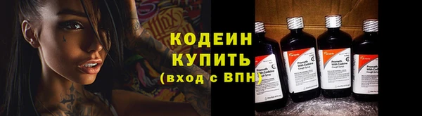 apvp Вяземский