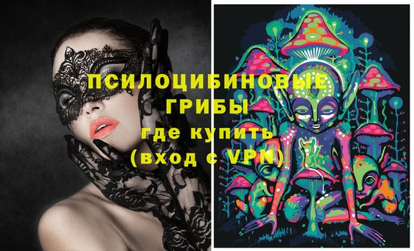 apvp Вяземский